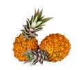 Two fresh juicy pineapples