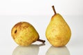 Two fresh juicy yellow-green pears fruit isolated on the white background Royalty Free Stock Photo