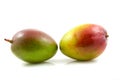 Two fresh mango fruit Royalty Free Stock Photo