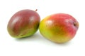 Two fresh mango fruit Royalty Free Stock Photo