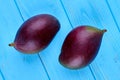 Two fresh mangoes on blue wooden background. Royalty Free Stock Photo