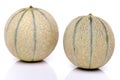 Two fresh melons Royalty Free Stock Photo