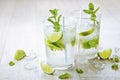 Two fresh mojitos cocktail Royalty Free Stock Photo