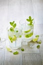 Two fresh mojitos cocktail Royalty Free Stock Photo
