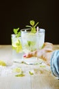 Two fresh mojitos cocktail on black background Royalty Free Stock Photo