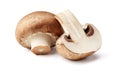 Two fresh mushrooms champignons, one whole and the other cut in half isolated on white background with clipping path Royalty Free Stock Photo