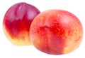 Two fresh Nectarines close up Royalty Free Stock Photo