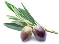 Two fresh olives with leaves on the white. Royalty Free Stock Photo