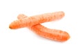 Two fresh orange carrot Royalty Free Stock Photo