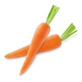 Two fresh orange carrot Royalty Free Stock Photo
