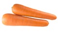 Two fresh orange carrots isolated on white background in strange appearance Royalty Free Stock Photo