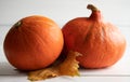 Two fresh orange Hokkaido pumpkins with yellowed autumn maple leaf on a white wooden background. Autumn. Place for text Royalty Free Stock Photo