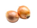 Two fresh orange onions isolated on white background with clipping path Royalty Free Stock Photo