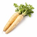 Yellow Parsnips: A Sanriocore Delight On A White Background