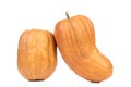 Two fresh pumkins. Royalty Free Stock Photo
