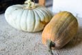 Two fresh pumpkins harvested on a farm on the ground Royalty Free Stock Photo