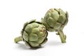 Two fresh raw artichokes Royalty Free Stock Photo