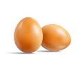 Two fresh raw chicken beige eggs isolated on white background. Realistic vector 3d illustration Royalty Free Stock Photo