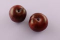 Two fresh raw plums Royalty Free Stock Photo