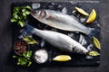 Two fresh raw whole sea bass, close-up Royalty Free Stock Photo