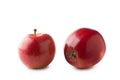 Two fresh red Gala apples isolated on white background. Clipping path Royalty Free Stock Photo