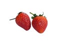 Two fresh and red strawberries on a white background. isolate cut out Royalty Free Stock Photo