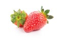 Two fresh red strawberry isolated Royalty Free Stock Photo