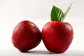 Two Fresh reed apples with leaves water drops.