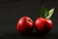 Two Fresh reed apples with water drops.