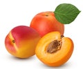 Two fresh ripe apricot with leaf one cut in half with bone Royalty Free Stock Photo