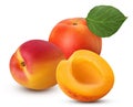 Two fresh ripe apricot with leaf one cut in half Royalty Free Stock Photo