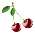 Two fresh ripe red cherries Royalty Free Stock Photo