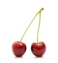Two fresh ripe red cherry with stem. Royalty Free Stock Photo