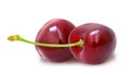 Two fresh ripe red cherry with stem. Royalty Free Stock Photo