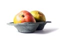 Two fresh ripen mango in a grey container on white isolated background. Fresh fruit industry concept