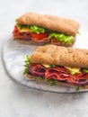 Two fresh sandwiches on ceramic board Royalty Free Stock Photo