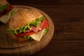 Two fresh sandwiches with ham, cheese, bacon, tomatoes, lettuce on dark wooden background Royalty Free Stock Photo