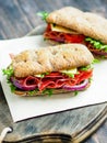 Two fresh sandwiches with jamon, cheese, tomato, lettuce and onion in whole-grain biscuits Royalty Free Stock Photo