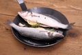 Two fresh sea bass fish on frying pan with lemon Royalty Free Stock Photo