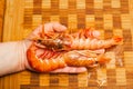 two fresh shrimp in the hand of a woman Royalty Free Stock Photo