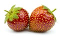 Two fresh strawberries isolated on a white background Royalty Free Stock Photo