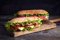 Two fresh submarine sandwiches Royalty Free Stock Photo