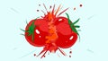 Cartoon Two fresh tomatoes crash into each other. Royalty Free Stock Photo