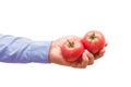 Two fresh tomatoes in hand isolated on white background. The concept of cooking Royalty Free Stock Photo