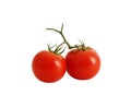 Two fresh tomatoes isolated on white Royalty Free Stock Photo