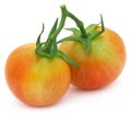 Two fresh tomatoes Royalty Free Stock Photo