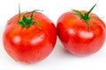 Two fresh tomatoes with water drops Royalty Free Stock Photo