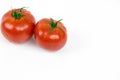 Two fresh tomatoes with water drops Royalty Free Stock Photo