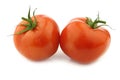 Two fresh tomatoes Royalty Free Stock Photo