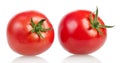 Two fresh tomatoes on white background Royalty Free Stock Photo